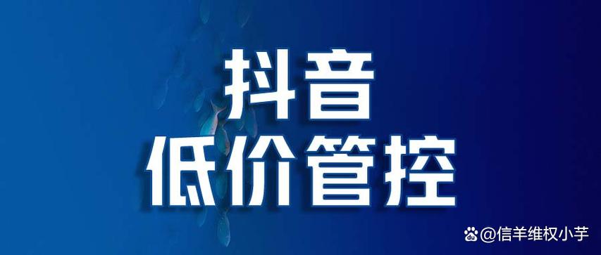 低价抖音业务
