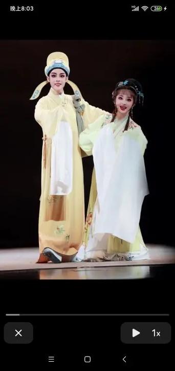 抖音君君演过什么电视剧