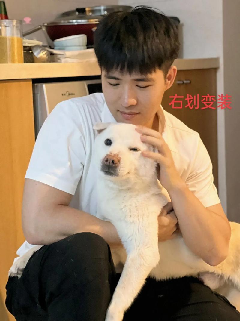 抖音里抱的是什么狗啊