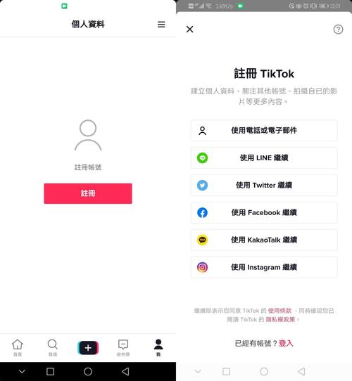 抖音国际版在国外叫什么