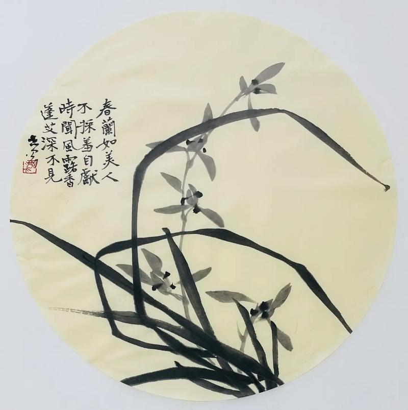 抖音里的爱国小品叫什么