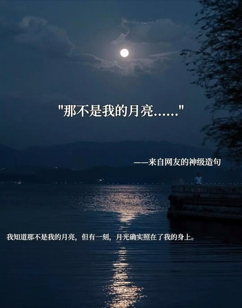 抖音有月亮是什么意思啊