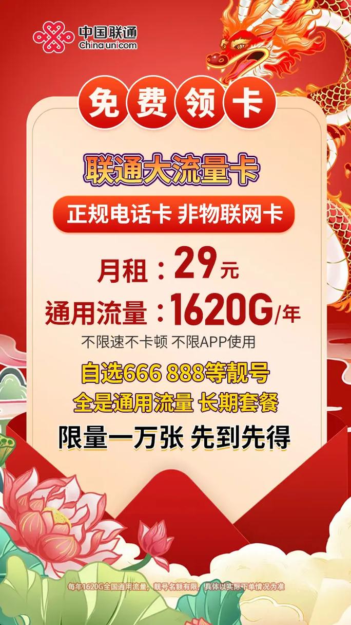 龙年流量卡广东