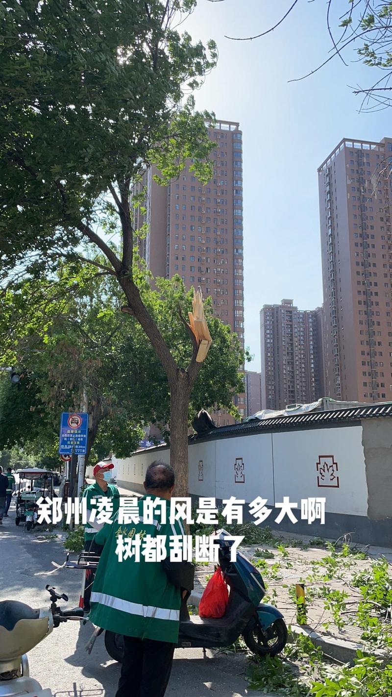 抖音刮大风车什么意思