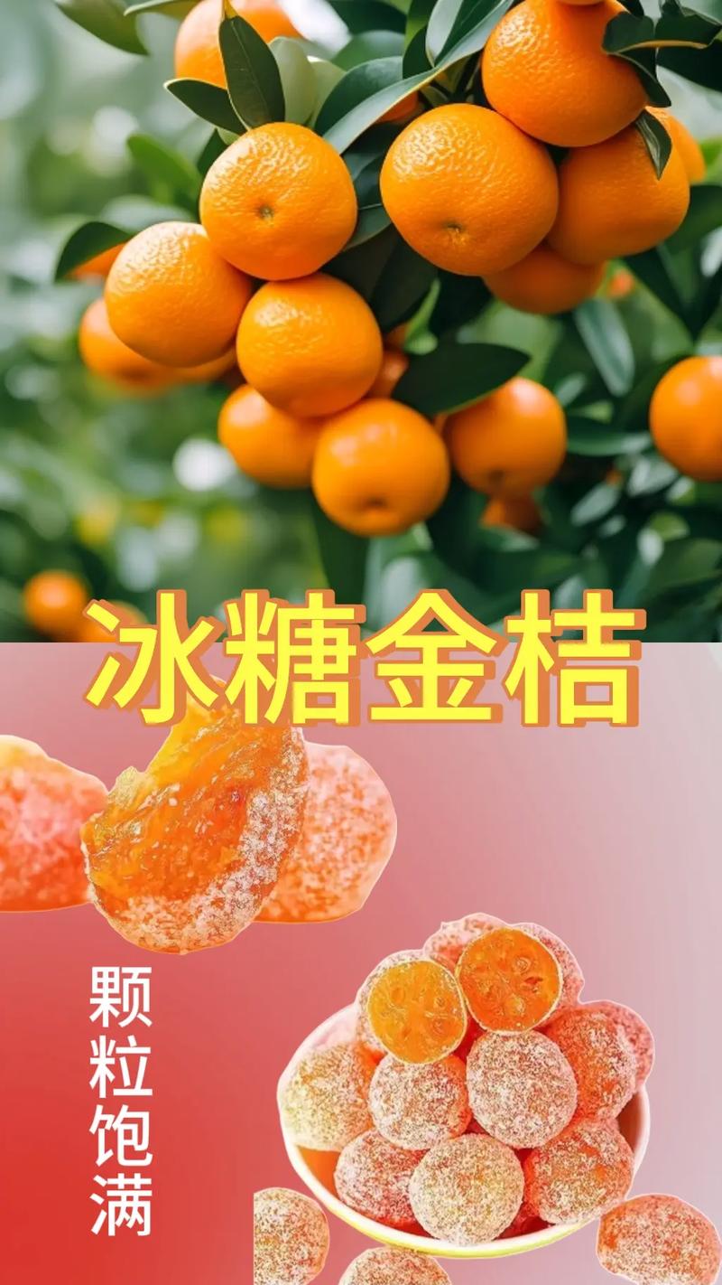 抖音金桔是干什么的