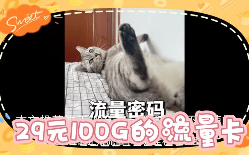 流量卡成狗