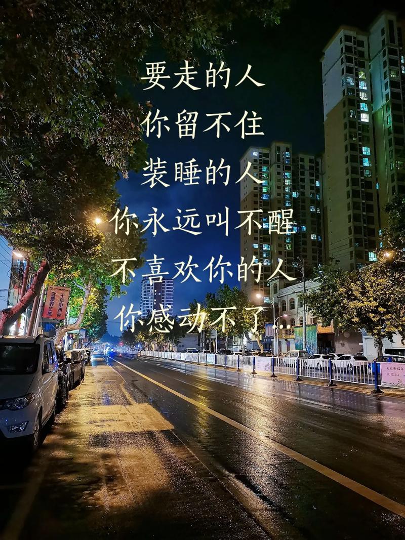 说好的不放手什么歌抖音