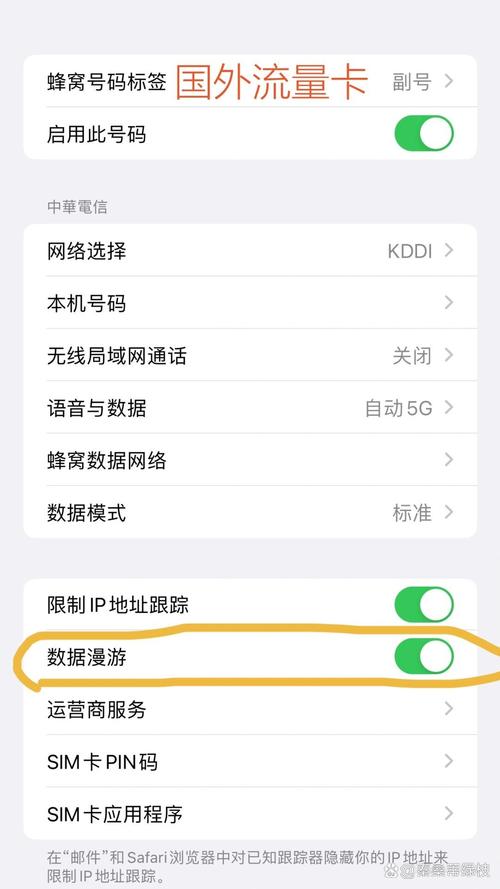 流量卡无法开启数据漫游
