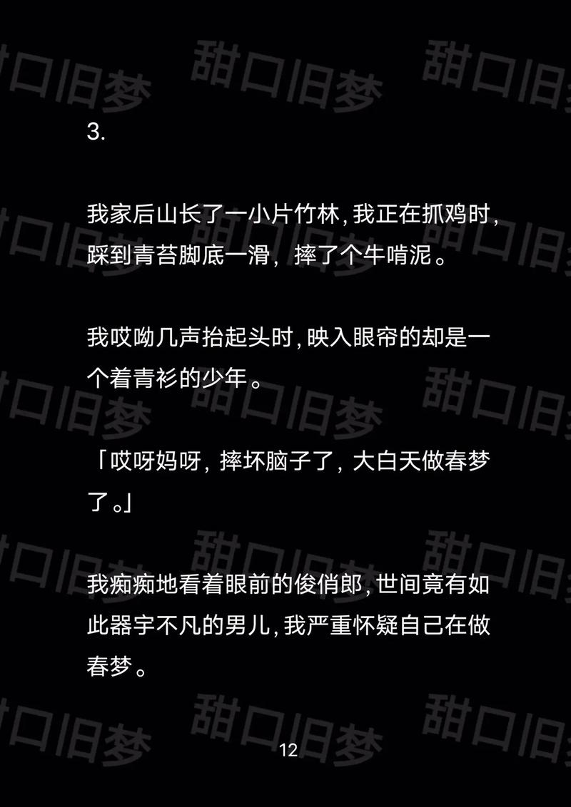 抖音王屠夫的小说是什么