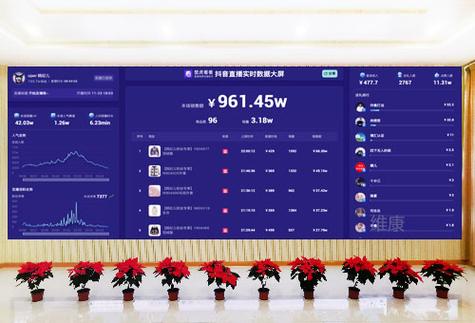 拍抖音用什么显示屏好
