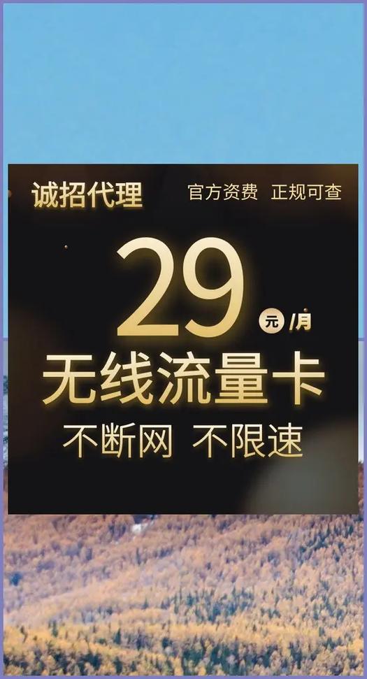 网站代理流量卡
