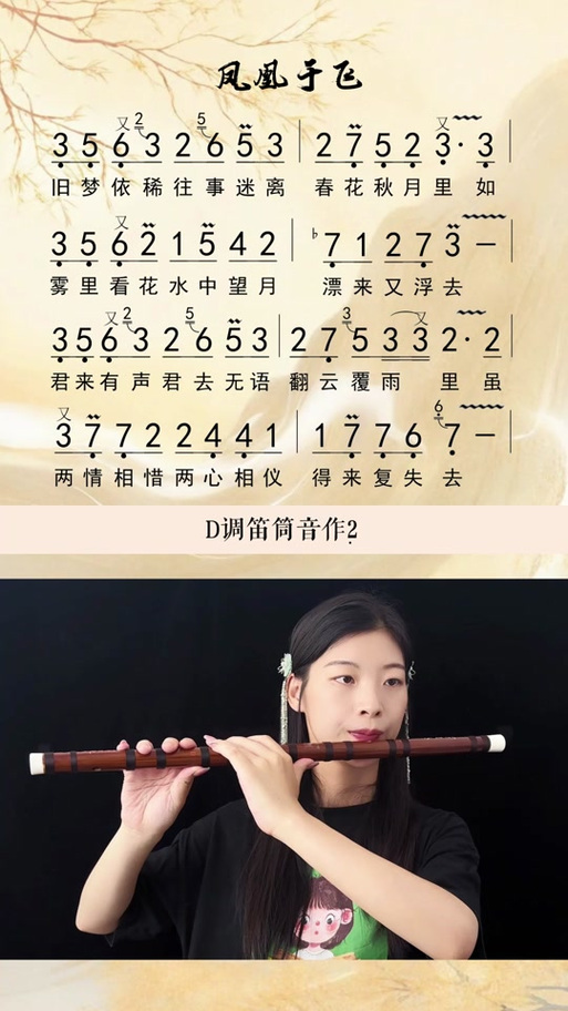 抖音甄嬛传的音乐叫什么