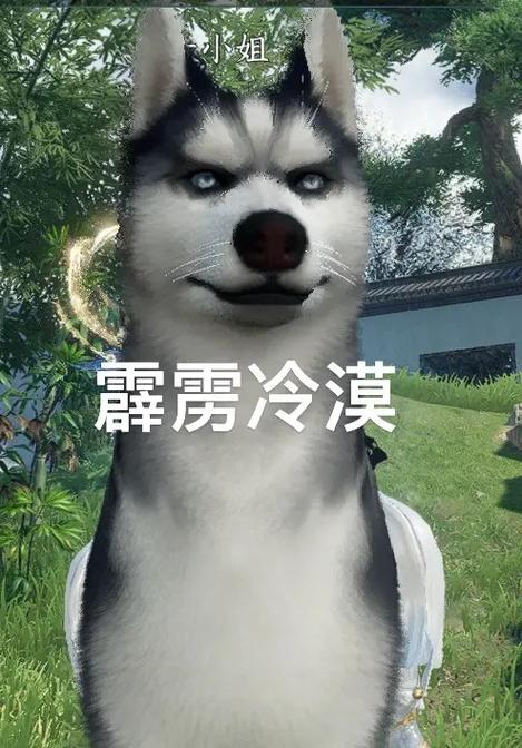 会叫我的狗是什么梗抖音