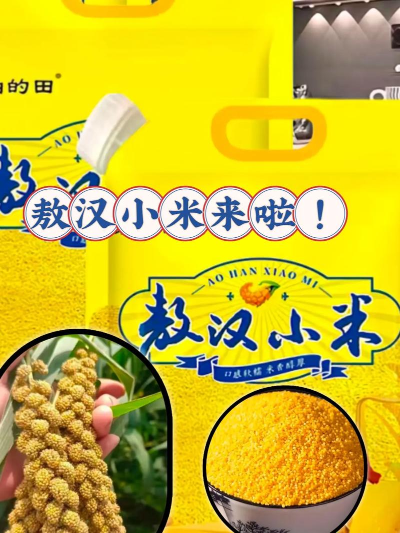敖汉流量卡