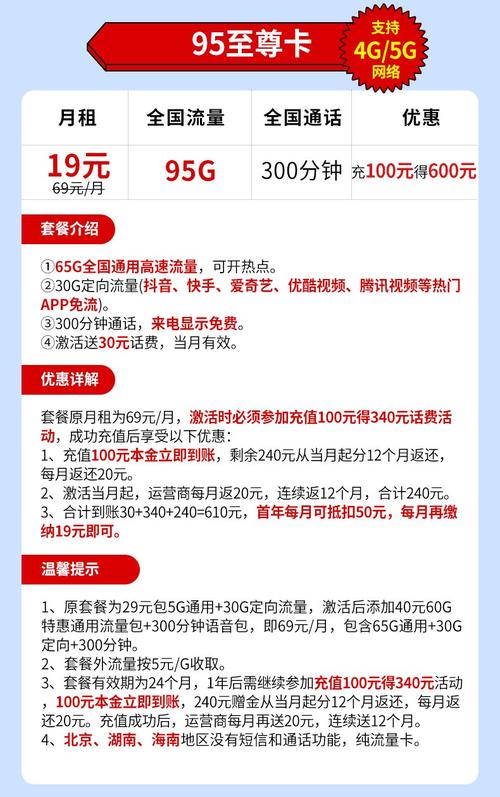 移动王卡流量费用多少