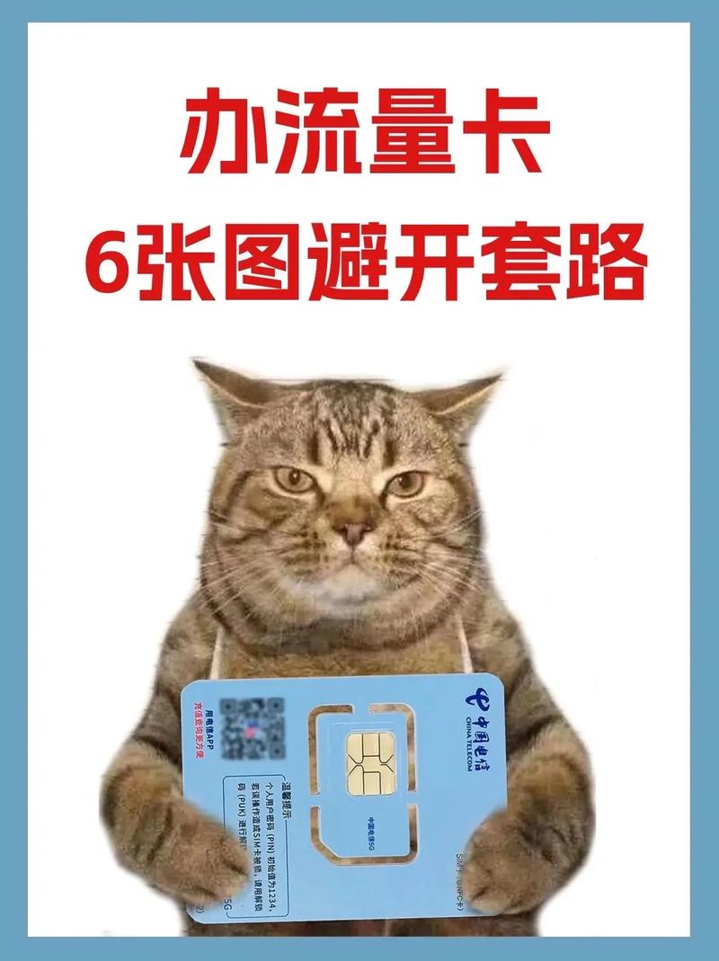 松江区流量卡哪里买