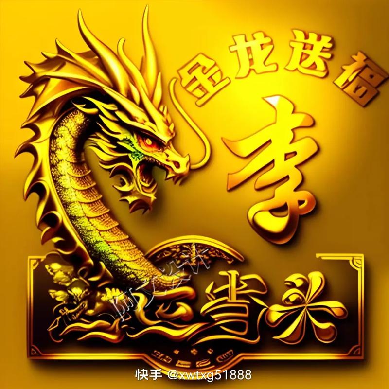 快手金龙怎么没有