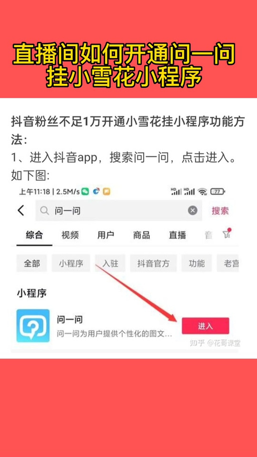 入驻抖音的小程序叫什么