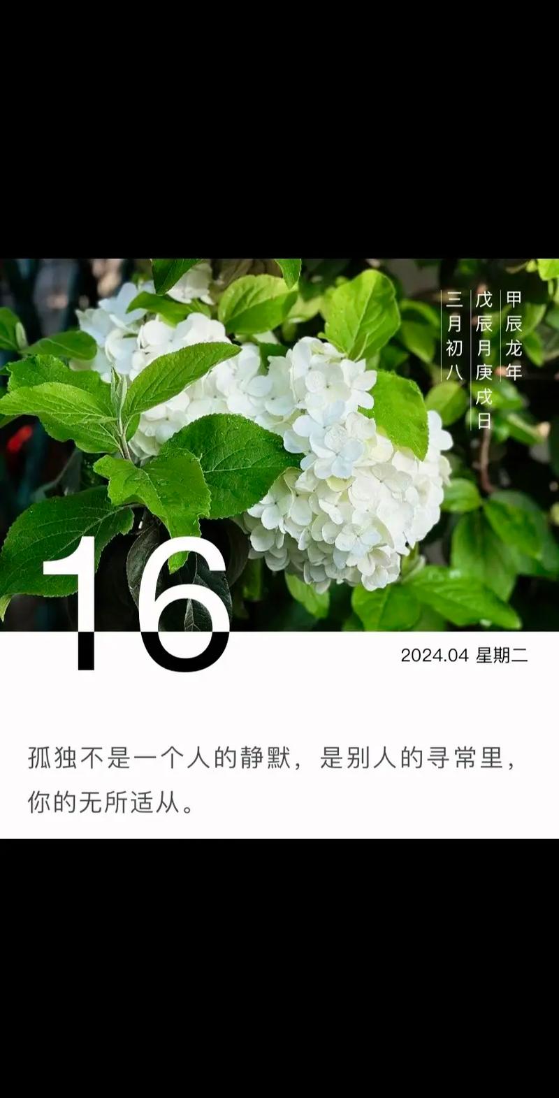 抖音上的静默是什么意思