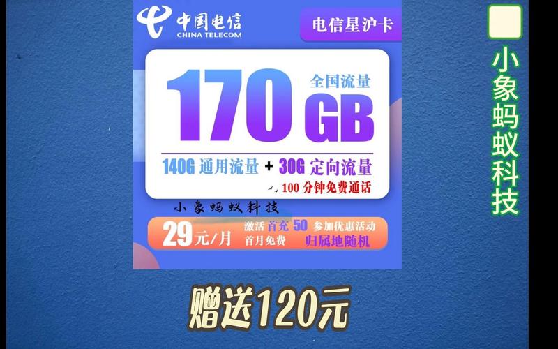 170纯流量卡