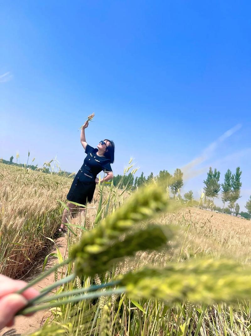 抖音小视频用什么镜头拍