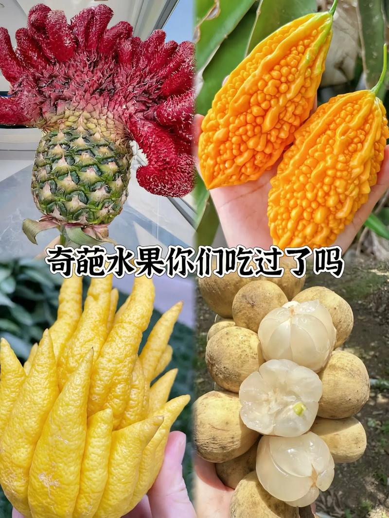 男的抖音叫什么水果名字