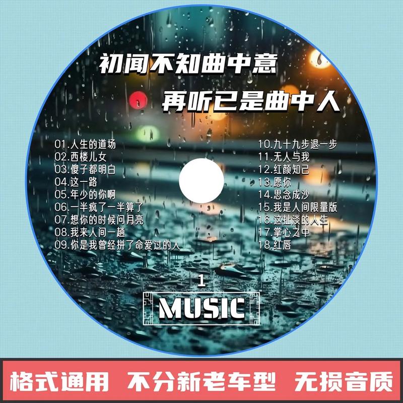 抖音版最伤心的歌叫什么