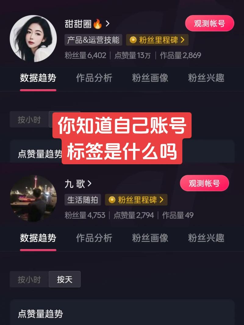 抖音里贴标签什么意思呀