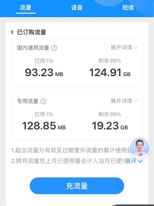 如何查电信卡流量查询