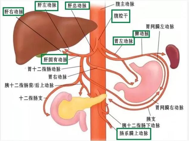 主动脉神经疼是什么抖音