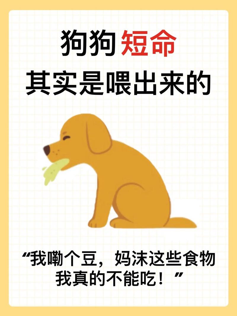 会叫我的狗是什么梗抖音