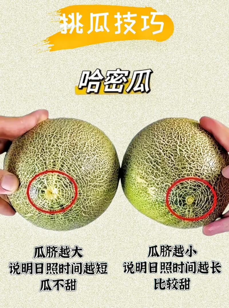 抖音说的30个瓜是什么