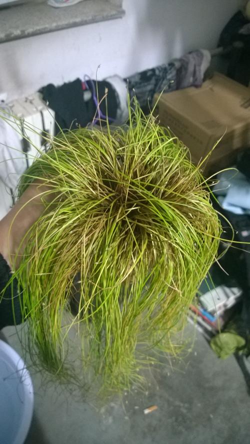 电影流量宝卡