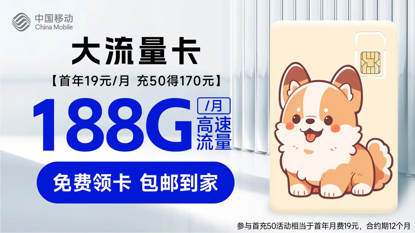 流量用的快换张卡