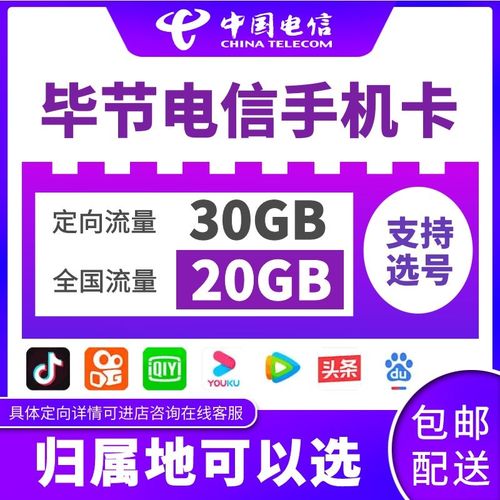 电信卡上网流量不能用