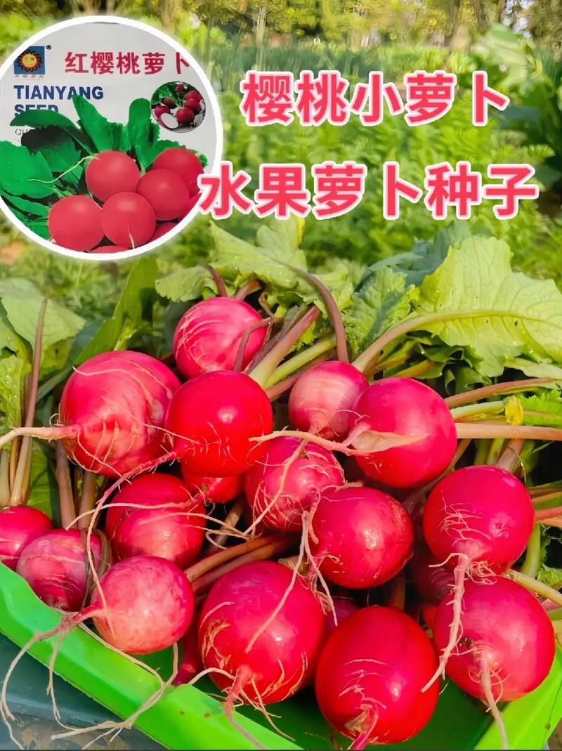 抖音奖励一根萝卜是什么