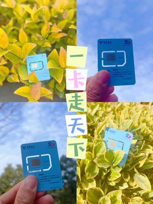 天下流量卡