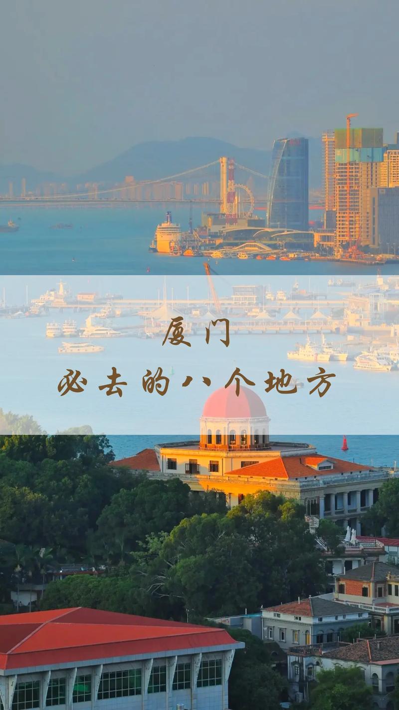 福建厦门的抖音号是什么