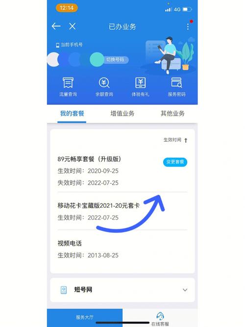 宝藏卡无法定向流量
