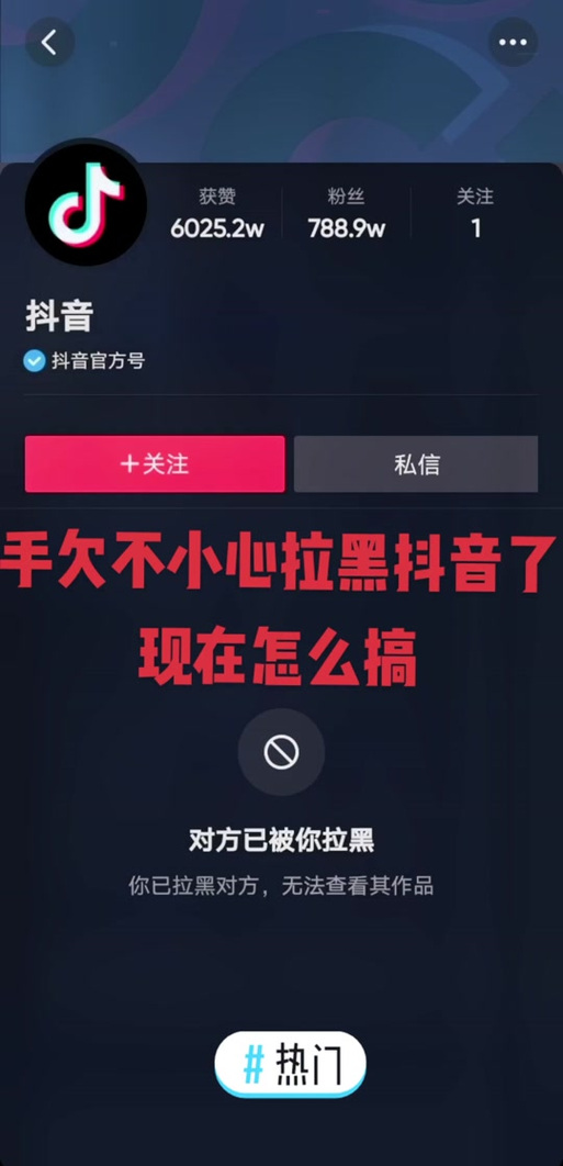 抖音反复拉黑什么意思啊