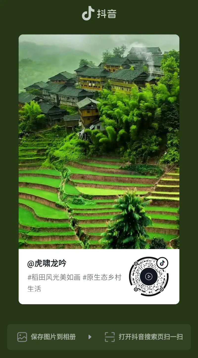 抖音上的原生态是什么