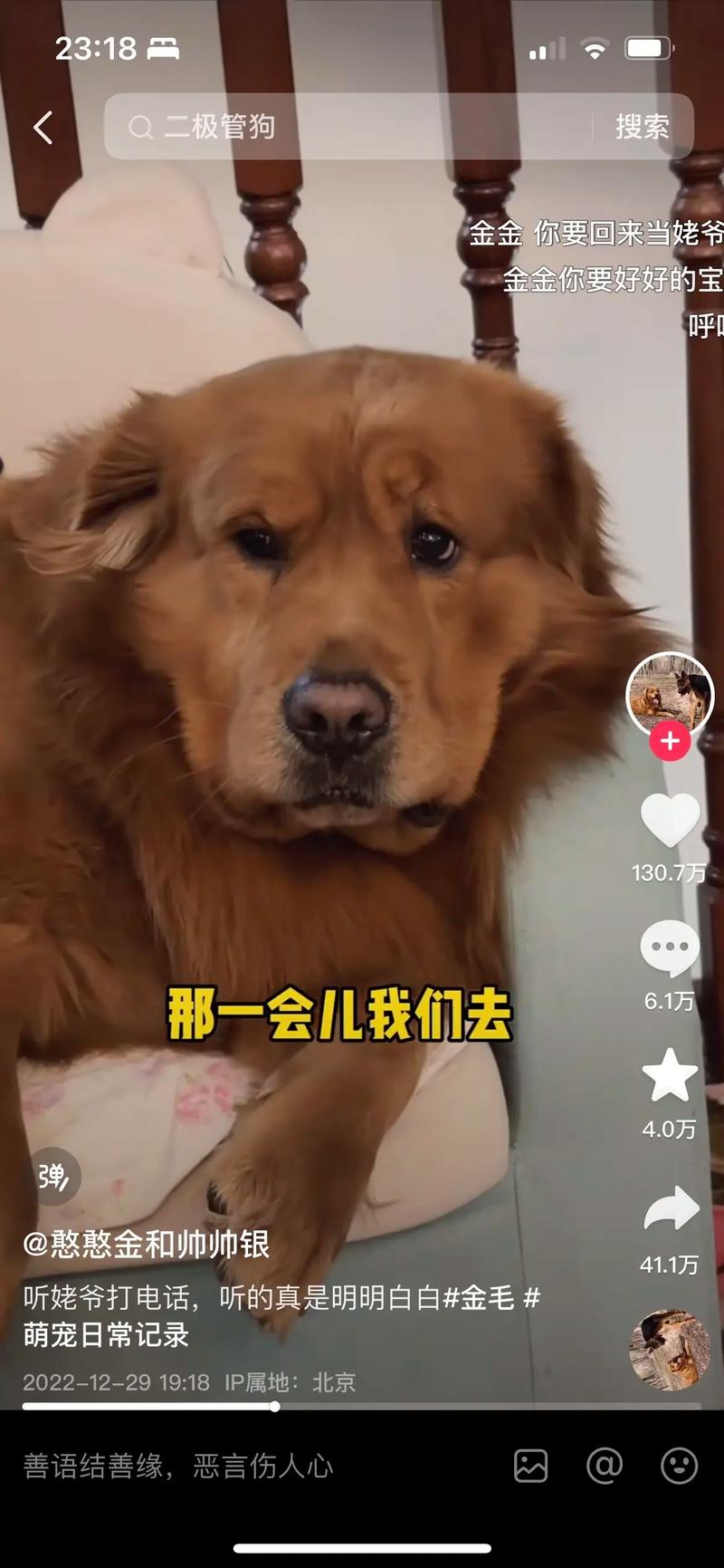 会叫我的狗是什么梗抖音