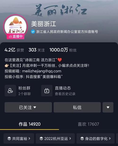 抖音粉丝十七万有什么用