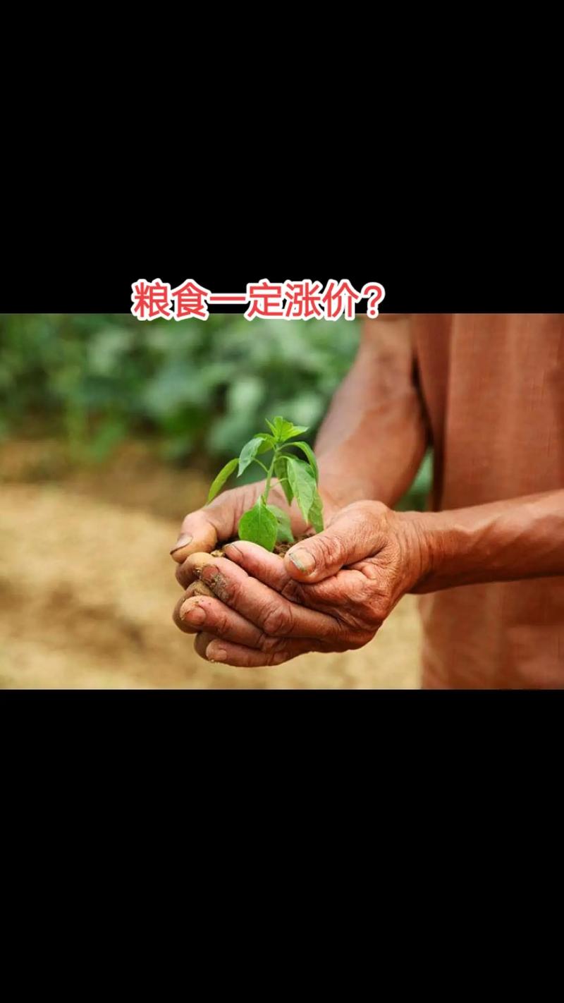 抖音里新农人是什么意思