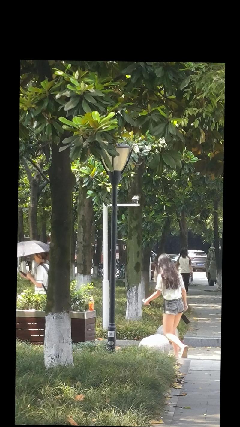 抖音上接拍是什么意思啊
