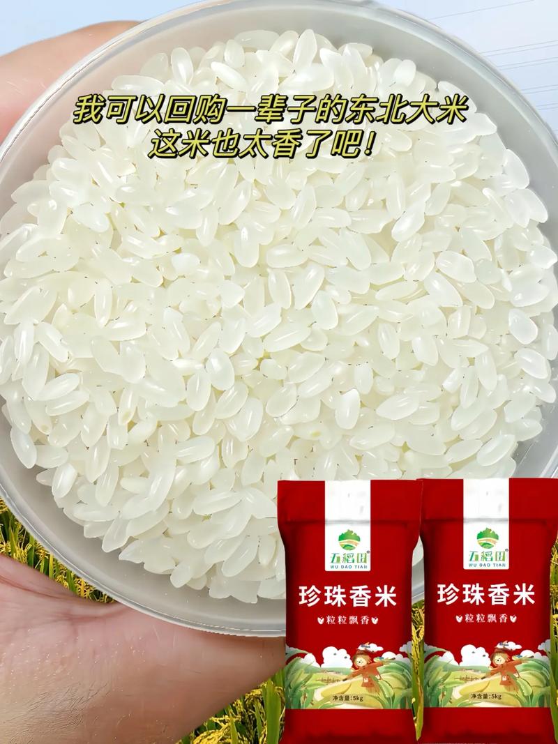 抖音很火的香米是什么米