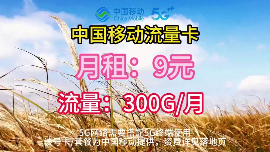 移动卡流量合并