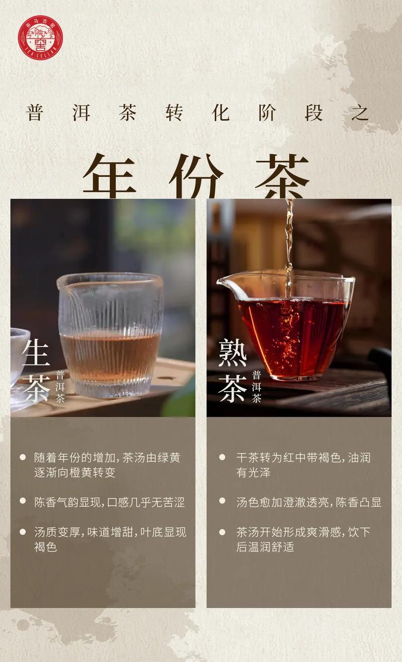 抖音号普洱茶什么意思