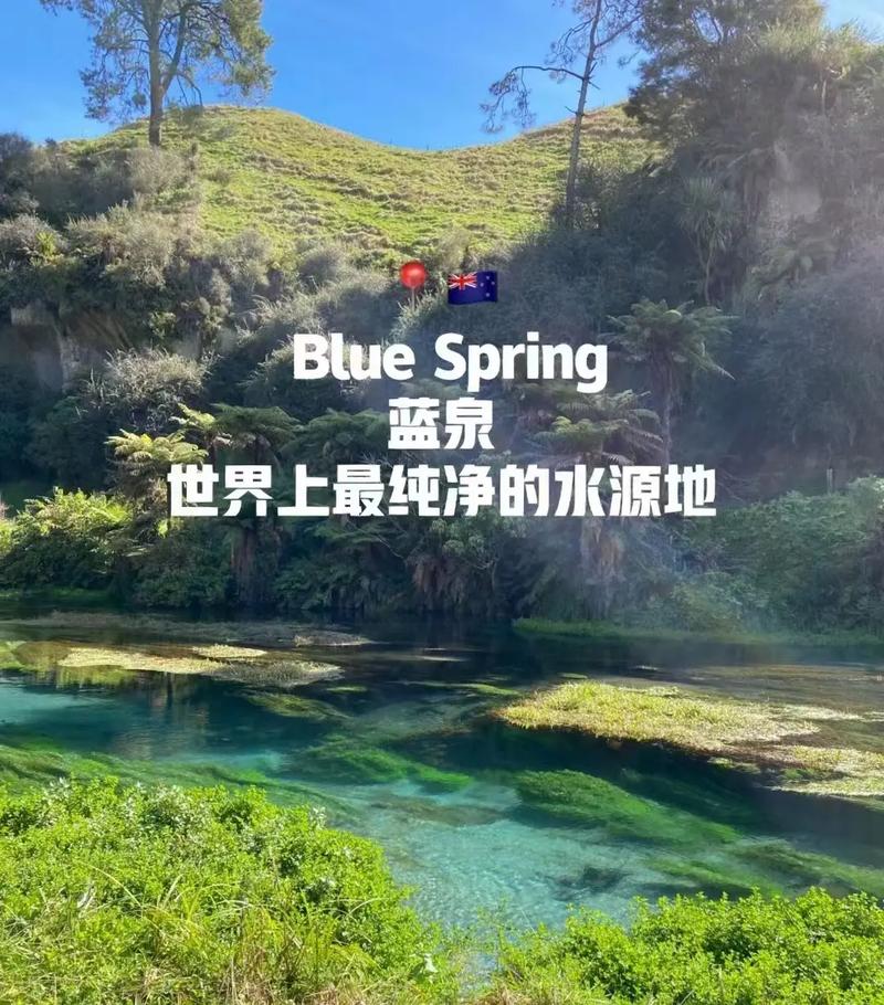 新西兰漫游流量卡