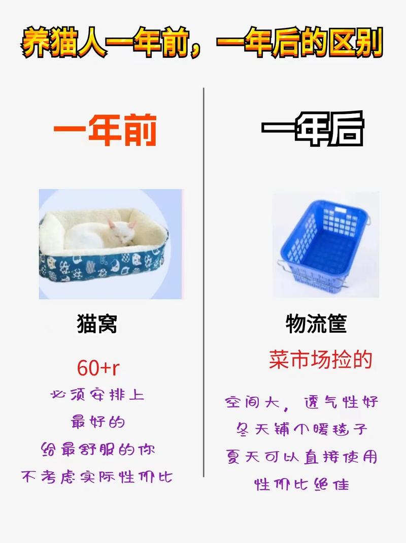 抖音用什么产品好卖一点